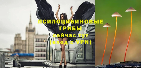 дурь Армянск